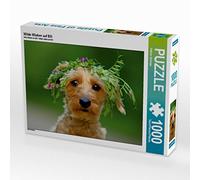 CALVENDO Kathrin Köntopp - Puzzle (1000 Piezas, 64 x 48 cm)