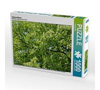 CALVENDO Konrad - Puzle de 1000 Piezas (64 x 48 cm), diseño de árbol de Katsura