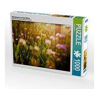 CALVENDO Lain Jackson - Puzzle (1000 Piezas, 64 x 48 cm), diseño de Sol de Noche en el Prado