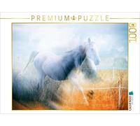 CALVENDO Liselotte Brunner-Klaus - Puzzle (1000 Piezas, 64 x 48 cm), diseño de Caballo de ensueño