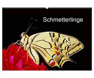 CALVENDO - Mariposas (calendario de pared 2027 DIN A2 horizontal), calendario mensual: mariposas delante de la cámara