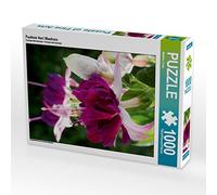 CALVENDO Martina Cross - Puzzle (1000 Piezas, 48 x 64 cm)