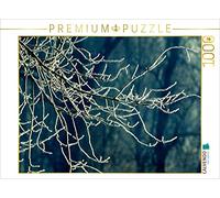 CALVENDO Martina Cross - Puzzle (1000 Piezas, 64 x 48 cm), diseño de Ramas en Invierno