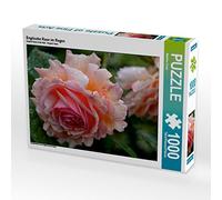 CALVENDO Martina Cross - Puzzle (1000 Piezas, 64 x 48 cm), diseño de Rosa Inglesa