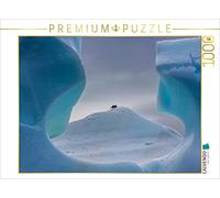 CALVENDO Michael Altmaier - Puzzle (1000 Piezas, 64 x 48 cm), diseño de pingüino antártico