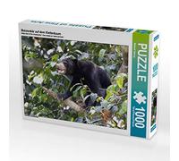 CALVENDO Michael Herzog - Puzzle (1000 Piezas, 64 x 48 cm), diseño de Oso malayo