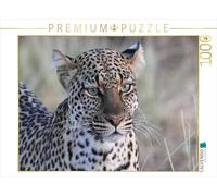 CALVENDO Michael Herzog - Puzzle con Imagen de Leopardo (1000 Piezas, 64 x 48 cm)
