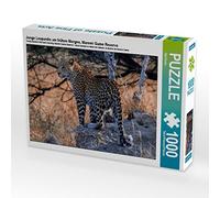 CALVENDO Olaf Bruhn - Puzle Infantil de Leopardo temprano en la mañana, Reserva de Juegos de Moremi, 1000 Piezas, tamaño 64 x 48 cm, Imagen de Olaf Bruhn