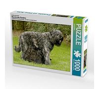 CALVENDO Puzle Bouvier Des Flandres - Puzzle (1000 Piezas, 64 x 48 cm), diseño de Susan Milau