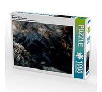 CALVENDO Puzle Bouvier Des Flandres - Puzzle (1000 Piezas, 64 x 48 cm), diseño de Susan Milau