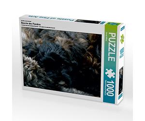CALVENDO Puzle Bouvier Des Flandres - Puzzle (1000 Piezas, 64 x 48 cm), diseño de Susan Milau