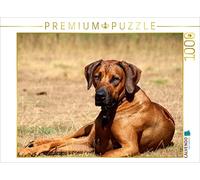CALVENDO Puzle con Motivo del Calendario Ridgebacks - Perros de África 1000 Piezas Rompecabezas transversales | Tamaño de colocación cm Puzzle de Fotos para Horas Felices