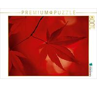 CALVENDO Puzle de Arce japonés, Colores otoñales, 1000 Piezas, tamaño 64 x 48 cm, fotopuzle