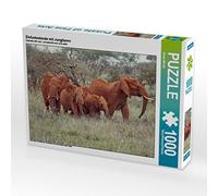 CALVENDO Puzle de Elefantes con Animales jóvenes, 1000 Piezas, tamaño 64 x 48 cm, Foto de Susan Michel