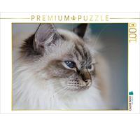 CALVENDO Puzle de Gato de Birmania, 1000 Piezas, tamaño 64 x 48 cm, Imagen de Múnich Michaela