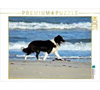 CALVENDO Puzle JayJay en la Playa de Grønhøj 1000 Piezas, tamaño 64 x 48 cm, Foto de Eva Busch