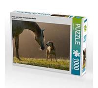 Calvendo - Puzzle (1000 Piezas, 64 x 48 cm), diseño de Caballo y Perro en septiembre con Niebla