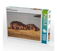 CALVENDO - Puzzle (1000 Piezas, 64 x 48 cm), diseño de Hippos en el Sur de África