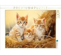 CALVENDO Puzzle con Calendario de 365 días en el Campo, 1000 Piezas, tamaño 64 x 48 cm, para Horas Felices