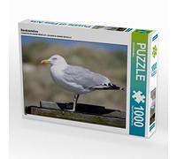 CALVENDO Puzzle de 1000 Piezas de Gaviota del Mar del Norte, 1000 Piezas, tamaño 64 x 48 cm, para Horas Felices