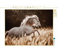 Calvendo Puzzle de 1000 Piezas, diseño de El Fascinante Mundo de los Caballos, tamaño de la Ley: 64 x 48 cm, Imagen de Mischnik Sabrina