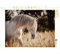 Calvendo Puzzle de 1000 Piezas, diseño de El Fascinante Mundo de los Caballos, tamaño de la Ley: 64 x 48 cm, Imagen de Mischnik Sabrina