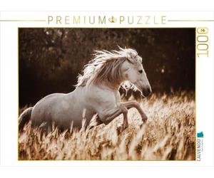Calvendo Puzzle de 1000 Piezas, diseño de El Fascinante Mundo de los Caballos, tamaño de la Ley: 64 x 48 cm, Imagen de Mischnik Sabrina