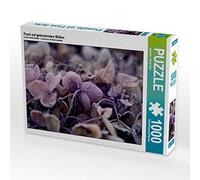 CALVENDO Puzzle de 1000 Piezas, diseño de Escarcha sobre Flores secas, 1000 Piezas, tamaño 64 x 48 cm, para Horas Felices