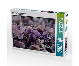 CALVENDO Puzzle de 1000 Piezas, diseño de Escarcha sobre Flores secas, 1000 Piezas, tamaño 64 x 48 cm, para Horas Felices