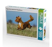 CALVENDO Puzzle de 1000 Piezas, diseño de Perro Volador de Nueva Escocia, 64 x 48 cm, para Horas Felices