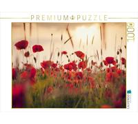 CALVENDO Puzzle de Amapolas en la luz de la Noche - 1000 Piezas - Puzzle de Fotos para Horas Felices