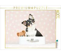 CALVENDO Puzzle de Chihuahua con Osito de Peluche de 1000 Piezas, tamaño 64 x 48 cm, Imagen de Eckelt Natalie