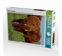 CALVENDO Puzzle de Elefante en Safari, 1000 Piezas, tamaño 48 x 64 cm, Foto de Susan Michel
