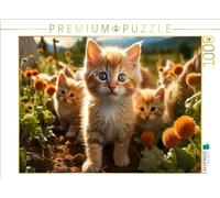 CALVENDO Puzzle de Gatitos, aquí es emocionante y emocionante, 1000 Piezas, tamaño 64 x 48 cm, para Horas Felices