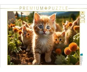 CALVENDO Puzzle de Gatitos, aquí es emocionante y emocionante, 1000 Piezas, tamaño 64 x 48 cm, para Horas Felices