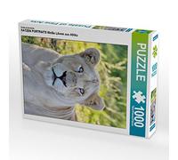 Calvendo Puzzle de Gatos, Caballos, Leones Blancos de África, 1000 Piezas, tamaño 48 x 64 cm, Imagen de N N N