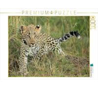 CALVENDO Puzzle de leopardos, pequeño Viaje, 1000 Piezas, 1000 Piezas, tamaño de 64 x 48 cm, para Horas Felices