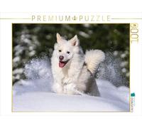 CALVENDO - Puzzle de Mi Perro islandés Djarfur (4), 1000 Piezas, tamaño de la Ley: 64 x 48 cm, Imagen de Scheurer Monika