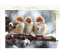 CALVENDO Puzzle de pájaros, Nos unimos, 1000 Piezas, tamaño 64 x 48 cm, para Horas Felices