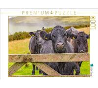 CALVENDO Puzzle de Vacas en el Parque Nacional Exmoor, 1000 Piezas, tamaño 64 x 48 cm, para Horas Felices