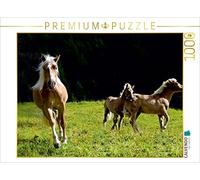 CALVENDO Puzzle Haflinger en el Pasto, 1000 Piezas, tamaño 64 x 48 cm, Foto de Michael Rucker