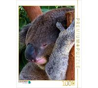 CALVENDO Puzzle Ich Bin den ganzen Tag müde | 1000 Teile Lege-Größe 64x48cm Foto-Puzzle für glückliche Stunden
