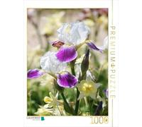 CALVENDO Puzzle Iris en acompañamiento de acelacias 1000 Piezas tamaño 48 x 64 cm Foto de Puzzle de Kruse Gisela