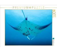 CALVENDO Puzzle Mantarochen im Anflug | 1000 Teile Lege-Größe 64x48cm Foto-Puzzle für glückliche Stunden: Der Elegante Meeresgleiter