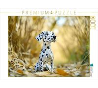 CALVENDO- Puzzle, Multicolor, 1000 Teile (4066851943404)