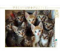 CALVENDO- Puzzle, Multicolor, 1000 Teile (4066851976983)