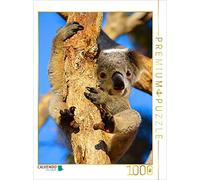 CALVENDO Puzzle Schon Wieder Ein neues Jahr | 1000 Teile Lege-Größe 64x48cm Foto-Puzzle für glückliche Stunden