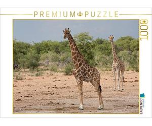 CALVENDO Sabine Reuke - Puzzle de Jirafas en el Parque Nacional Etosha (1000 Piezas, 64 x 48 cm)