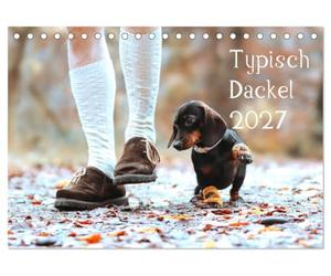 CALVENDO - Típico perro salchicha 2027 (calendario de mesa 2027 DIN A5 horizontal), calendario mensual: el calendario Dachshund - Típico perro salchicha 2023 conquista los corazones