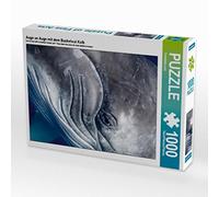 CALVENDO Travelpixx.com Puzzle Ojo a Ojo con Ballena jorobada Becerro 1000 Piezas Tamaño 48 x 64 cm Foto Puzzle Imagen